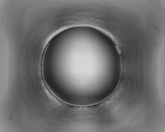 X0000115831534200911131455