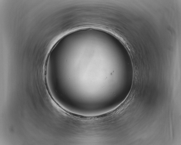 X0000115831535200911131455