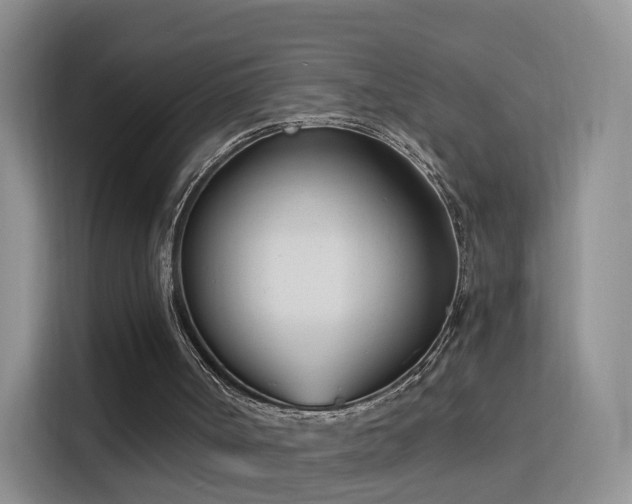 X0000115830002200911201514