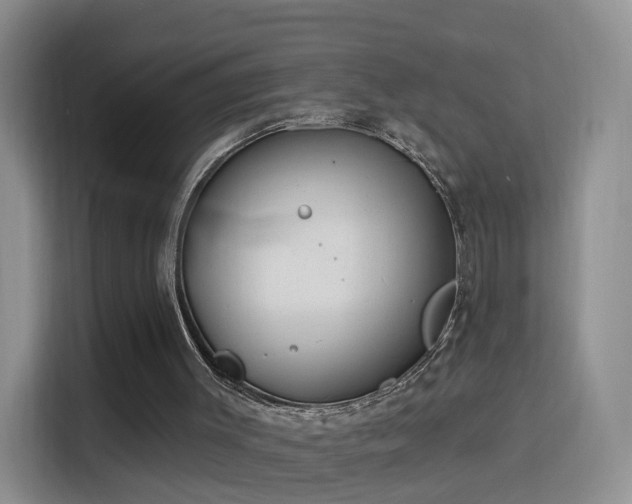 X0000115830003200911201514