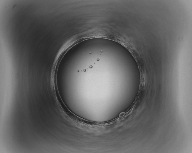 X0000115830004200911201514