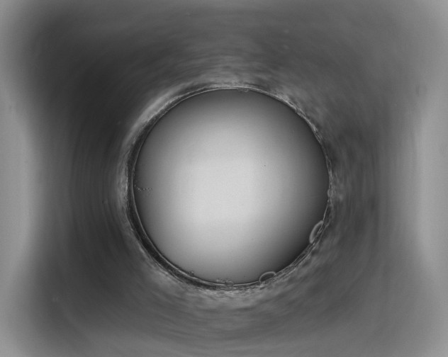 X0000115830005200911201514