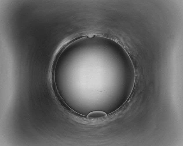 X0000115830006200911201514