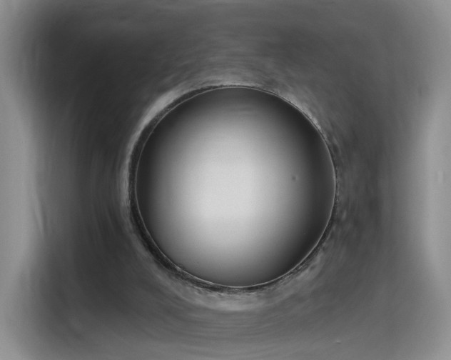 X0000115830008200911201514