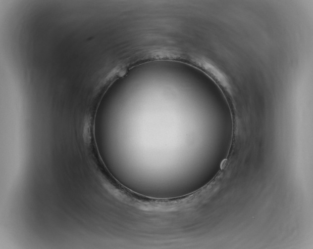 X0000115830009200911201514