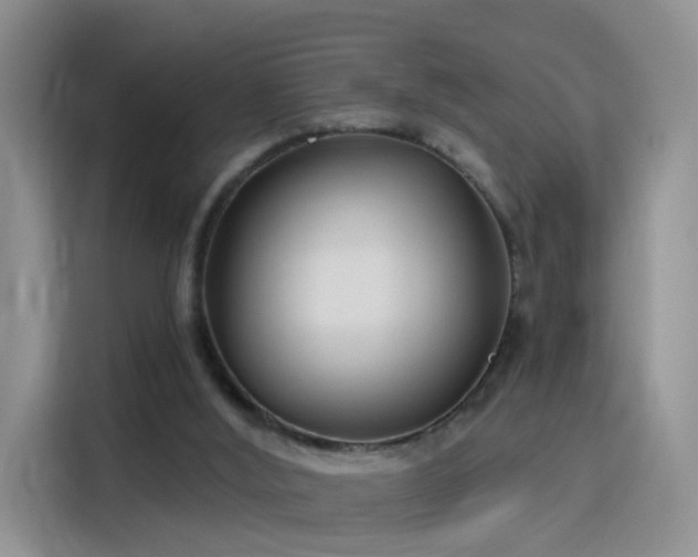 X0000115830012200911201514