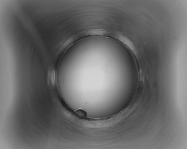 X0000115830013200911201514