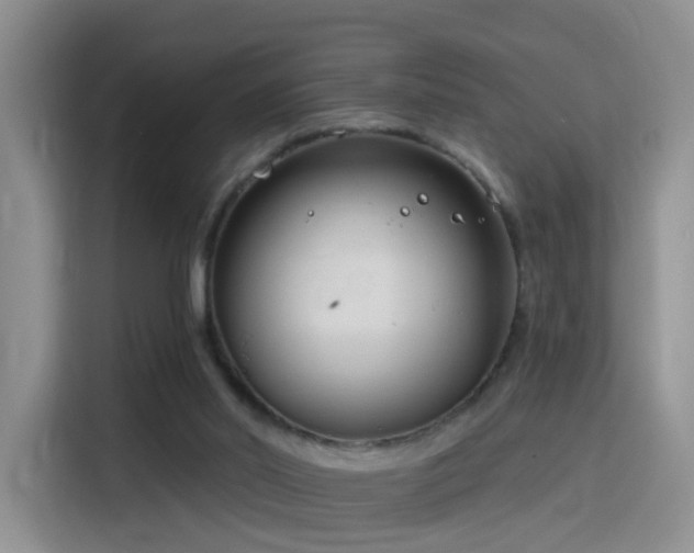 X0000115830014200911201514