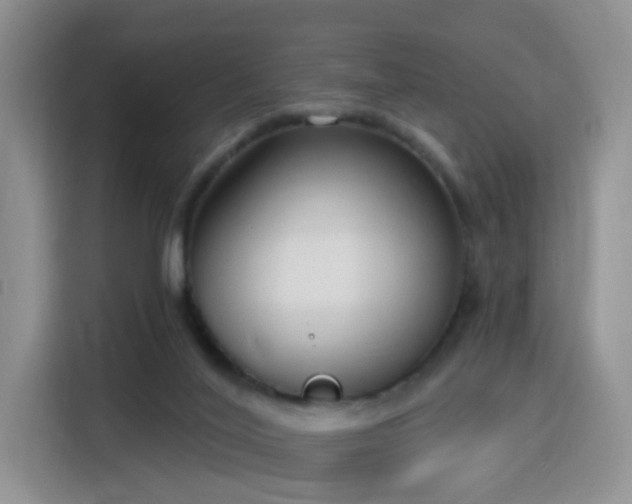 X0000115830020200911201514