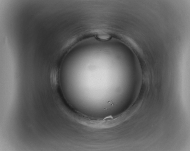 X0000115830023200911201514