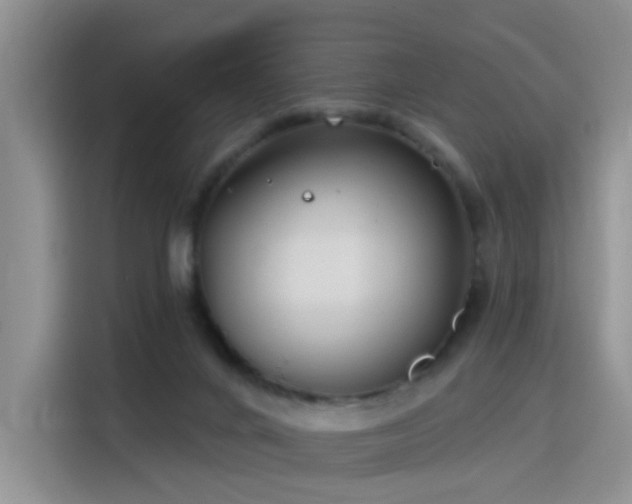 X0000115830024200911201514