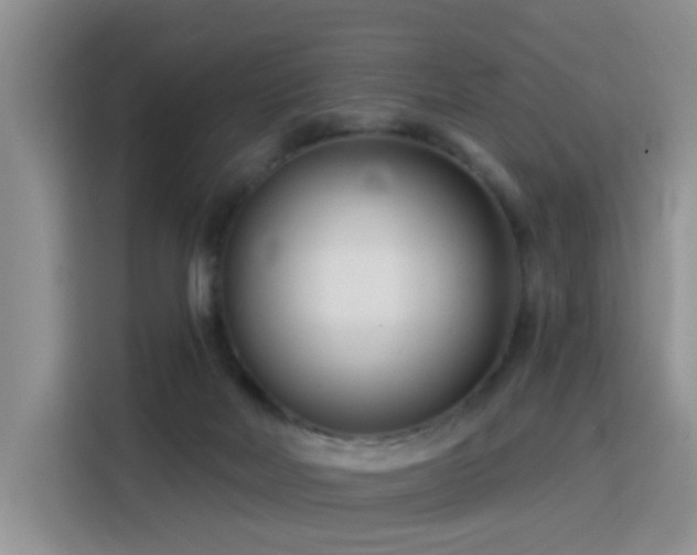 X0000115830026200911201514