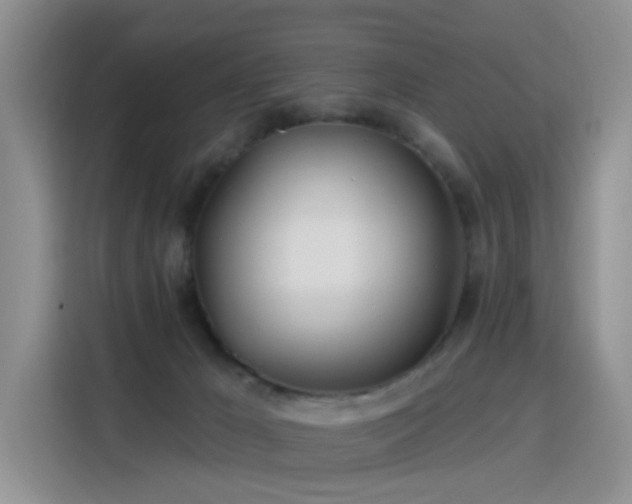 X0000115830029200911201514