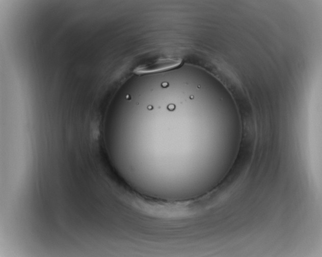 X0000115830032200911201514