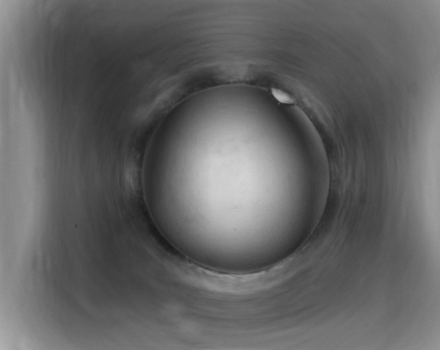 X0000115830035200911201514