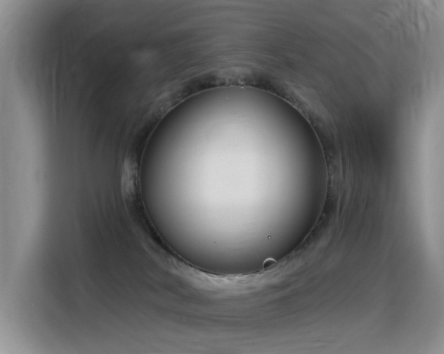 X0000115830038200911201514