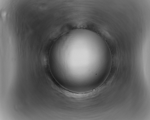 X0000115830039200911201514