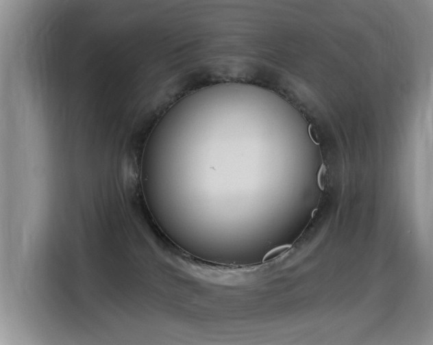 X0000115830040200911201514