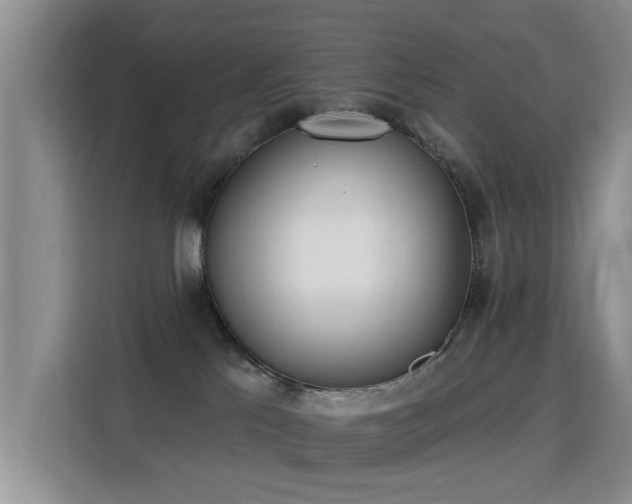 X0000115830041200911201514