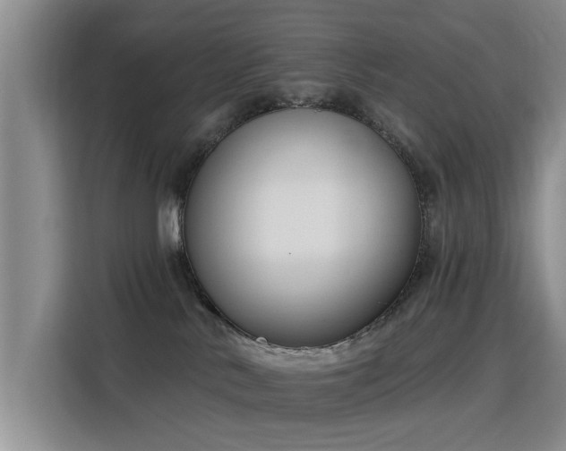 X0000115830042200911201514