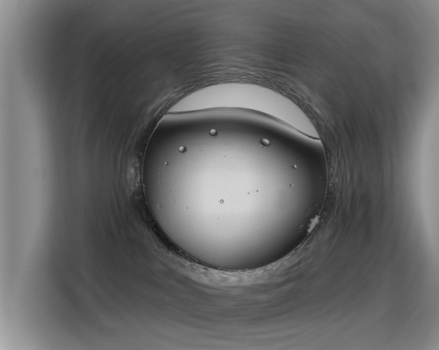 X0000115830043200911201514