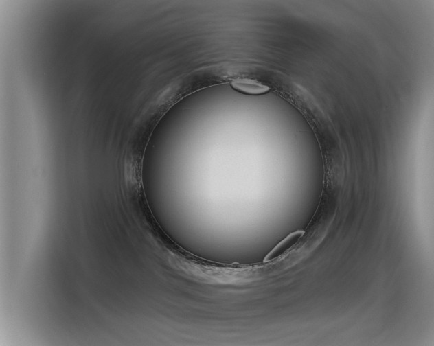 X0000115830044200911201514