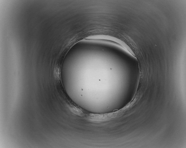 X0000115830045200911201514