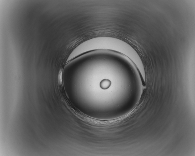 X0000115830047200911201514