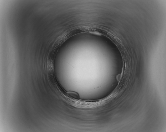 X0000115830048200911201514