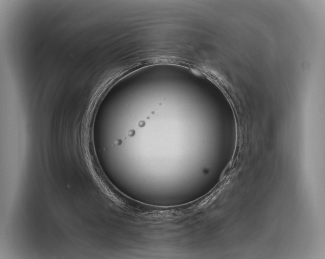 X0000115830049200911201513