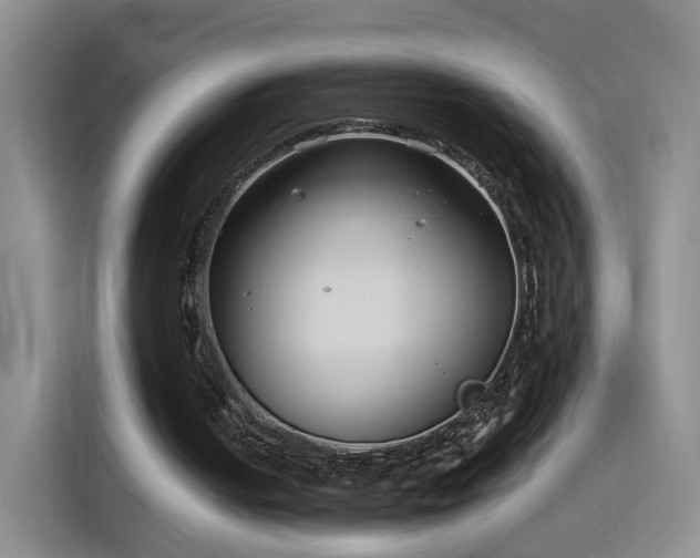 X0000115830050200911201513