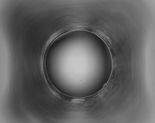 X0000115830051200911201513