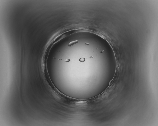 X0000115830053200911201513