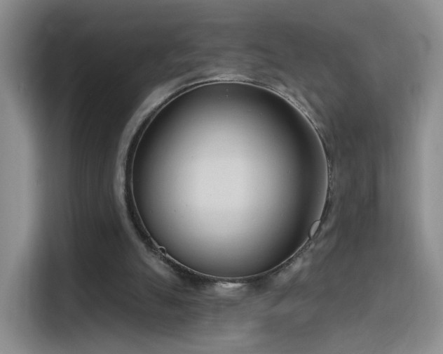 X0000115830055200911201513