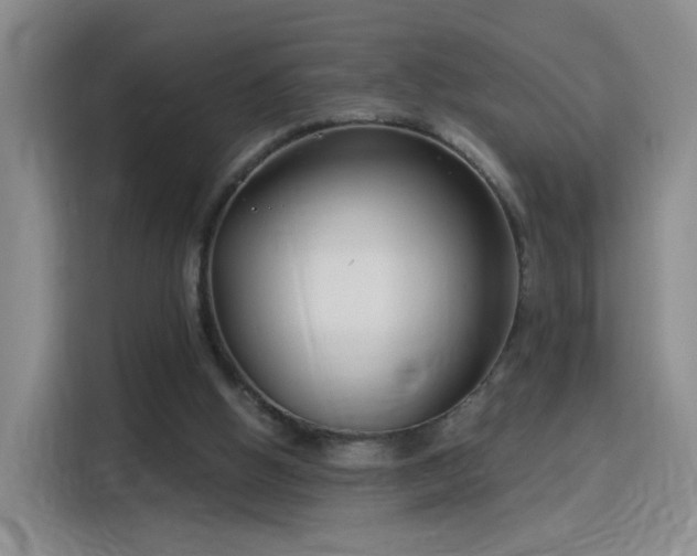 X0000115830058200911201513