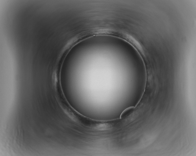 X0000115830059200911201513