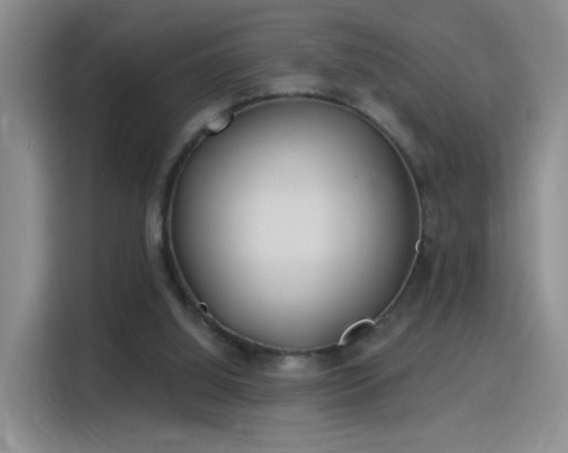 X0000115830060200911201513