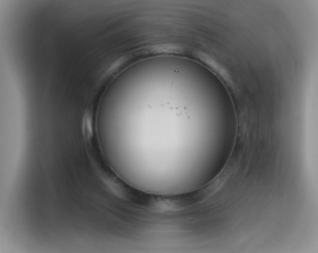 X0000115830062200911201513