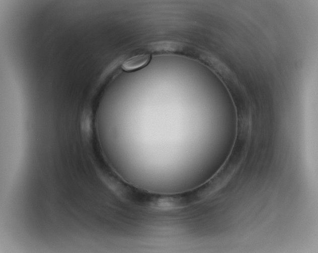 X0000115830064200911201513