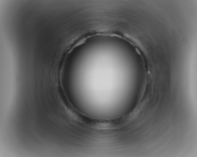 X0000115830066200911201513