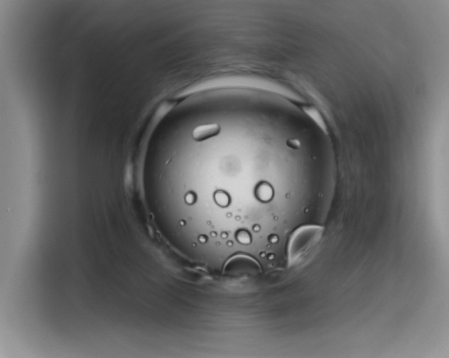 X0000115830067200911201513