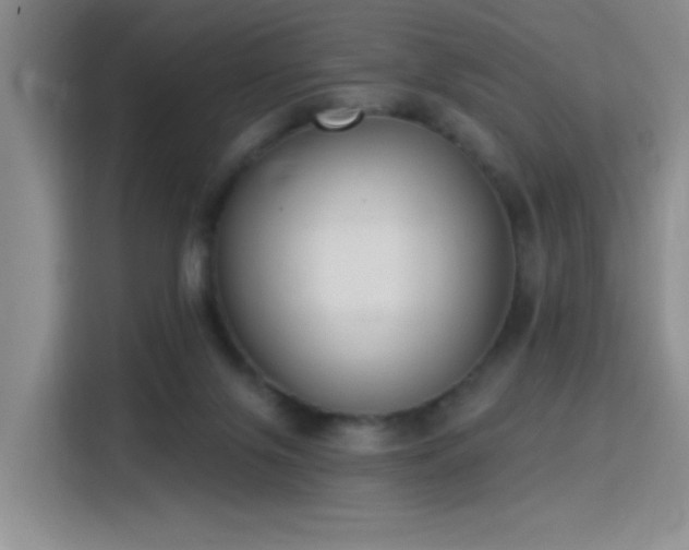 X0000115830071200911201513