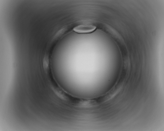 X0000115830072200911201513