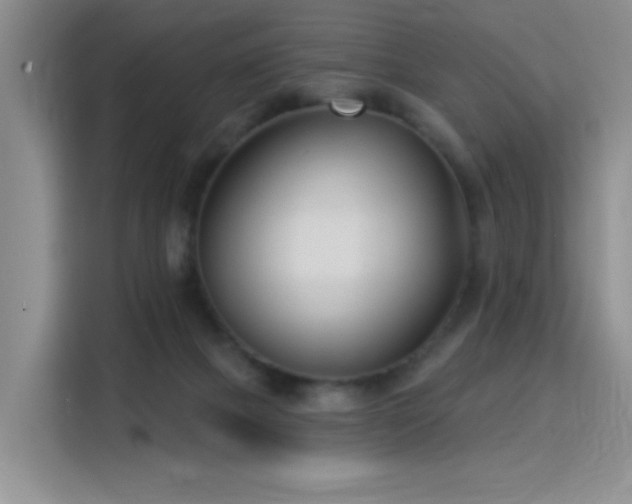 X0000115830073200911201513