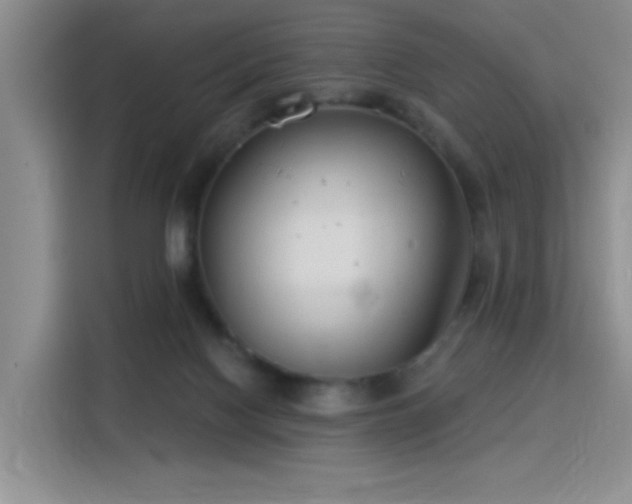 X0000115830074200911201513