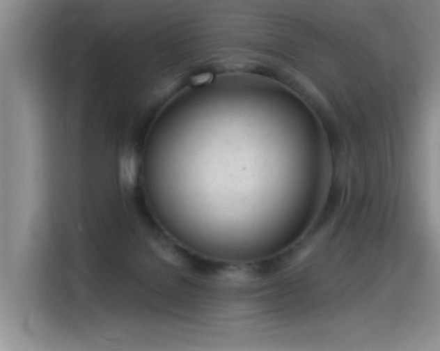 X0000115830076200911201514