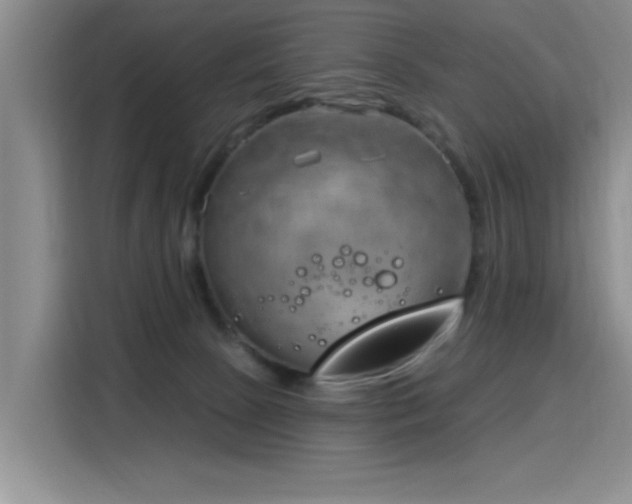 X0000115830081200911201514