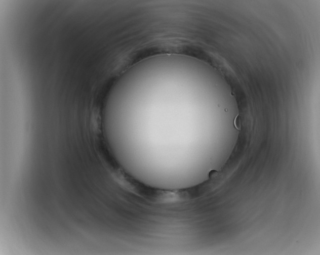 X0000115830083200911201514