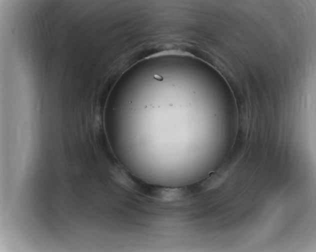 X0000115830085200911201514