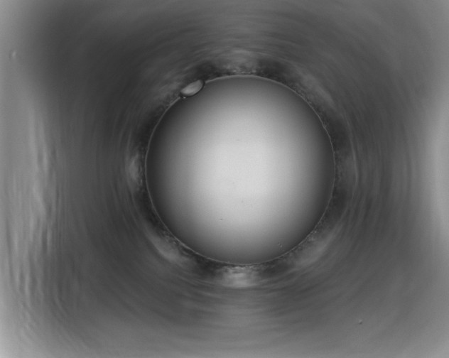 X0000115830088200911201514